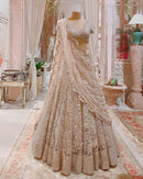 Indian Wedding Bridal Lehenga Choli in Cream Georgette With Sequence Work