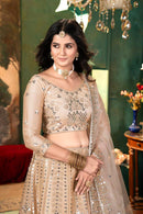 Sabyasachi Lehenga For Women Party Wear Lehenga