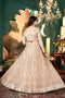 Sabyasachi Lehenga For Women Party Wear Lehenga