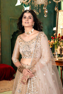 Sabyasachi Lehenga For Women Party Wear Lehenga