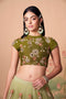 Multi Color Women Embellished Flared Lehenga Choli Set with All Over Sequined Embroidery Work