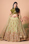 Multi Color Women Embellished Flared Lehenga Choli Set with All Over Sequined Embroidery Work