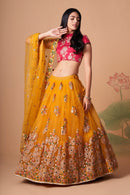 Multi Color Women Embellished Flared Lehenga Choli Set with All Over Sequined Embroidery Work