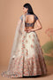 Multi Color Women Embellished Flared Lehenga Choli Set with All Over Sequined Embroidery Work