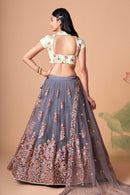 Multi Color Women Embellished Flared Lehenga Choli Set with All Over Sequined Embroidery Work