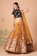 Multi Color Women Embellished Flared Lehenga Choli Set with All Over Sequined Embroidery Work