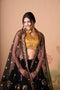 Multi Color Women Embellished Flared Lehenga Choli Set with All Over Sequined Embroidery Work