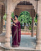 Dazzling Lamé Saree with Jimmy Choo-Inspired Embellishments For Women