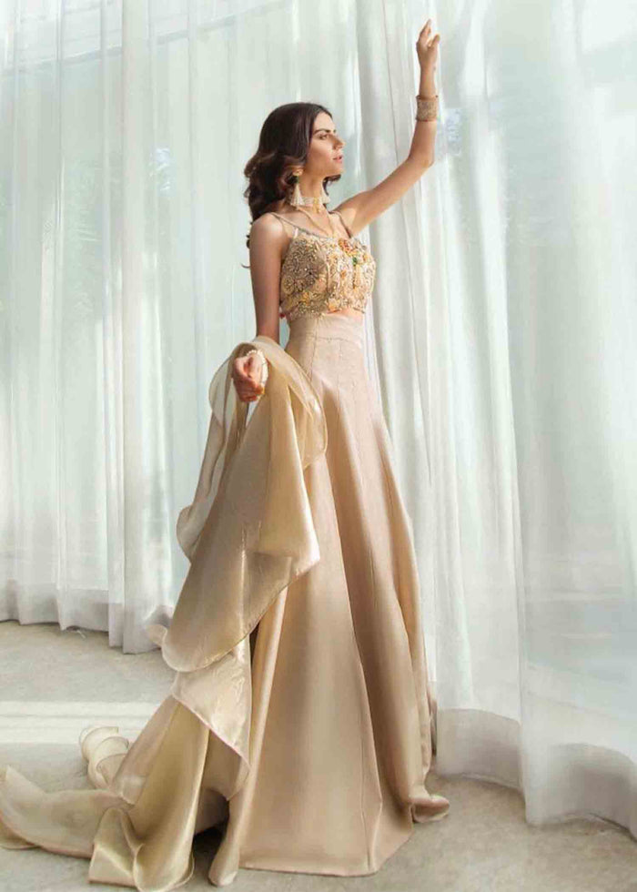 Embroidered Motti Work Design Party Wear Gown Collection