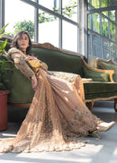 Silver And Gold Embroidered Design Gharara Suit