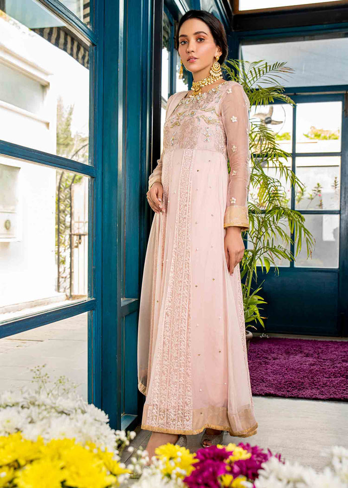 Pink Colored Embroidered Work Design Peshwas