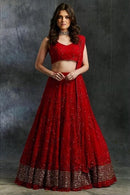 Designer Pure Silk Lehenga Choli (Dark Maroon)