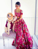 Rani Sequence Velvet Silk Lehenga Choli 2024