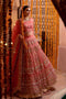 Royal Pakistani Bridal Pink Lehenga Choli Dress