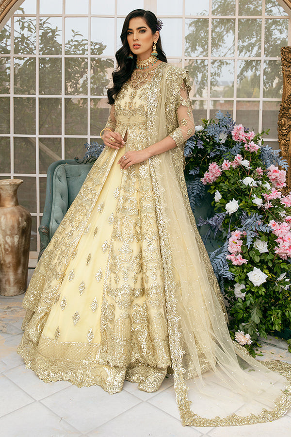 Lehenga With Front Open Gown Pakistani Dress