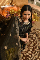 Black  Embroidered net  Dupatta